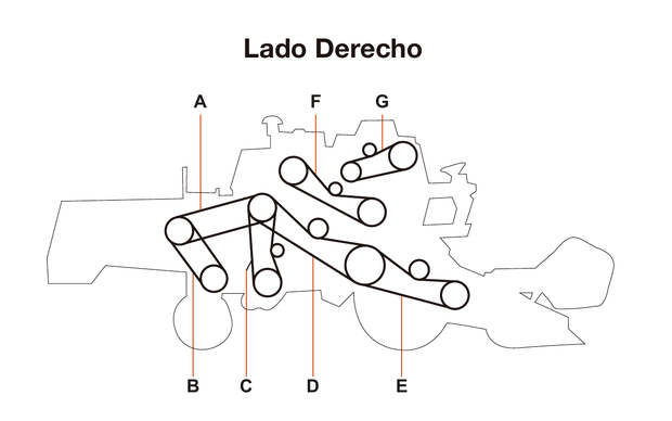 Massey Ferguson 32 - Lado Derecho - Mapa de correas